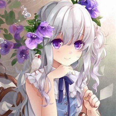 洛阳买到断头牡丹